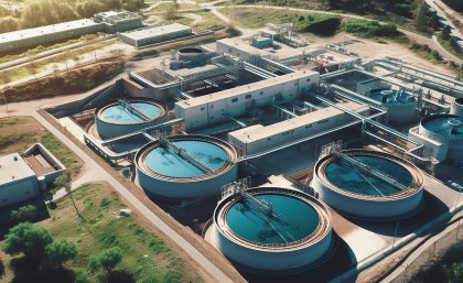 A group of wastewater plants in a line on a sunny day. 
