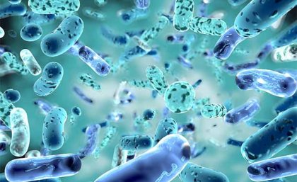 Close-up graphic of gut bacteria