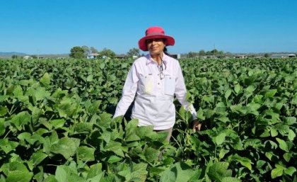 A woman wearing a wide brimmed hat and long sleeved shirt standing in soybean crop about 1 metre high