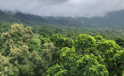 Image: Dr Baptiste Wijas a view of forested hills with clouds above the top of the slope