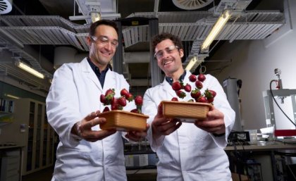 Dr Luigi Vandi and Vincent Mathel have successfully tested their biocomposite as a strawberry punnet that biodegrades completely in soil, fresh water, the ocean and in compost. Image: Aubrey Jonasson. Dr Luigi Vandi and Vincent Mathel have successfully tested their biocomposite as a strawberry punnet that biodegrades completely in soil, fresh water, the ocean, and in compost. Photos Aubrey Jonasson