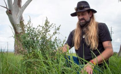 Jacob Birch at the UQ Gatton campus. A bearded man with long blond hair wearing a black hat and shirt bends down to look at the long grass