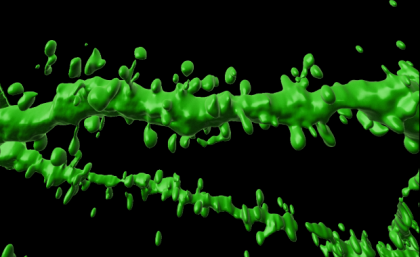 Dendritic spines are tiny protrusions on brain neurons and crucial for learning and memory. Image, UQ. Dendritic spines under magnification. Image, UQ.