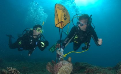 UniDive volunteers conduct marine surveys.
