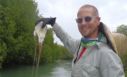 Associate Professor Bryan Fry is using a new technique to extract venom from box jellyfish