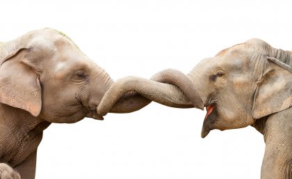 Can understanding compassion make the world a better place? Can understanding compassion make the world a better place?