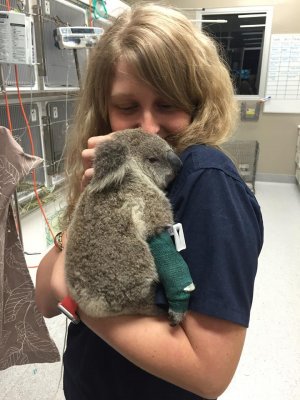 Paris Tootell, one of the night staff in the intensive care unit, with Bob the baby koala.