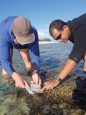 UQ scientists and volunteers measure coral health