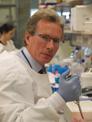 UQ Clinical Research Centre's (UQCCR) Professor Nicholas Fisk led a team that has developed a world-first method for producing adult stem cells.