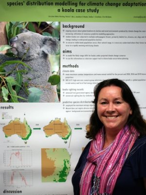 Shrinking habitat: Christine Adams-Hosking has found current koala distributions will likely shift to eastern and southern regions where koala populations are already under threat due to high human population densities and ongoing pressures from habitat loss, dog attacks and vehicle collisions.