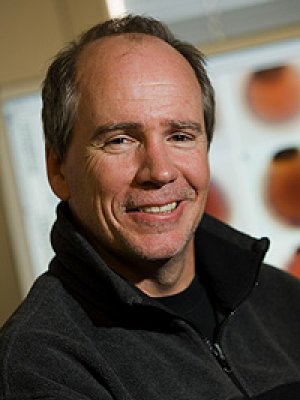 Professor Bernie Degnan Professor Bernie Degnan