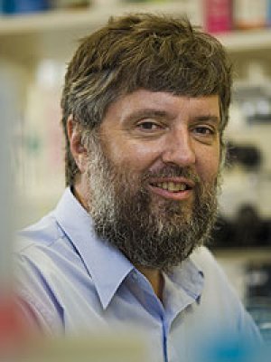 Dr Cribb Dr Cribb