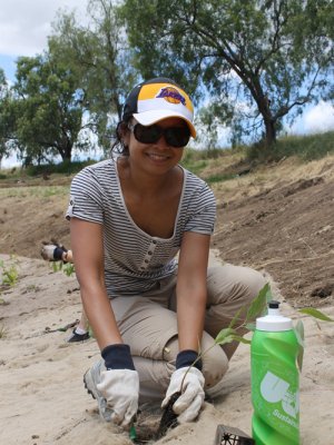 Carmel Ainsley was one of more than 70 volunteer planters. Carmel Ainsley was one of more than 70 volunteer planters.