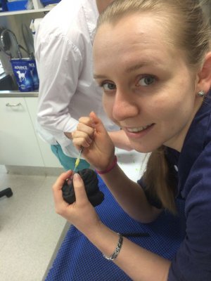 Emma McMillan feeds a tiny bandicoot joey. Emma McMillan feeds a tiny bandicoot joey.