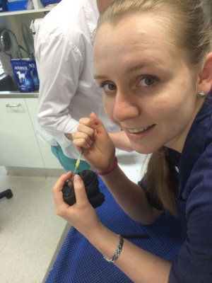 Emma McMillan feeds a tiny bandicoot joey.