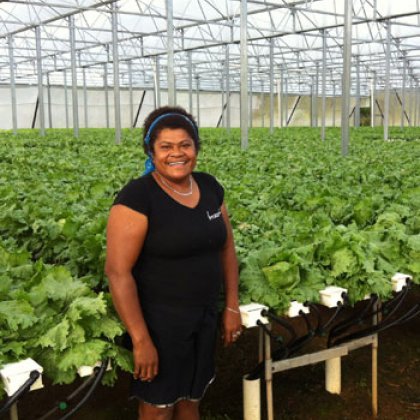 Maca Kinilovo, production manager for Joe's Farm in the Nausori Highlands, Fiji.
