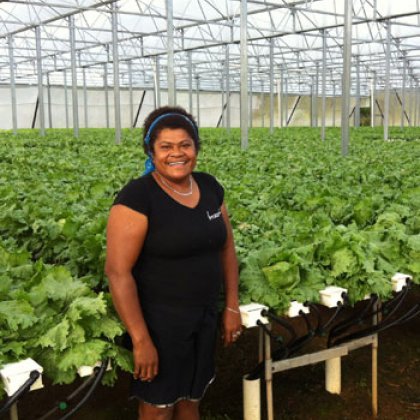 Maca Kinilovo, production manager for Joe's Farm in the Nausori Highlands, Fiji. Maca Kinilovo, production manager for Joe's Farm in the Nausori Highlands, Fiji.