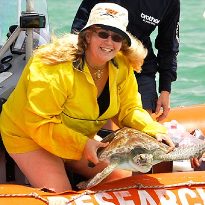 Dr Kathy Townsend prepares to release a sea turtle