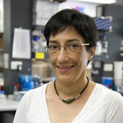 UQDI's Professor Ranjeny Thomas. UQDI's Professor Ranjeny Thomas.