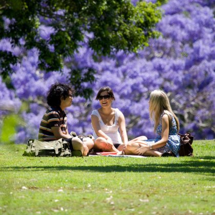 Three students sit under the jacaranda trees at UQ.