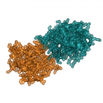 Molecular structure of interacting protein molecules involved in plant disease resistance.