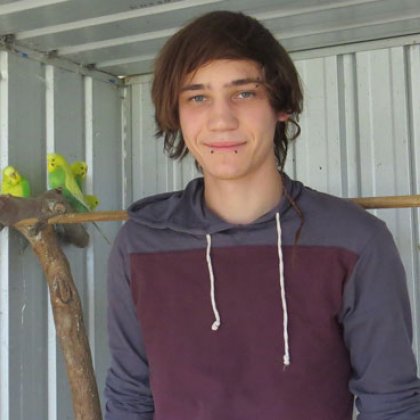 Honours student Archibald Bouchon-Small tracked animal rescues from wildlife hospitals in over four years for research.
