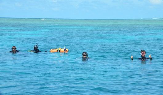 Divers with their heads out of very blue ocean water