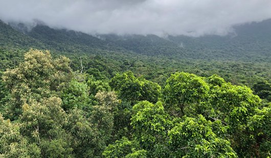 a view of forested hills with clouds above the top of the slope