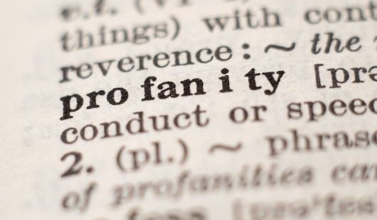 A page in the dictionary displaying the word "profanity"