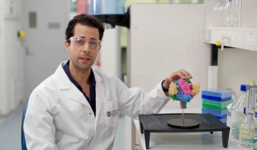 a man in a white lab coat sits next to a multicoloured model