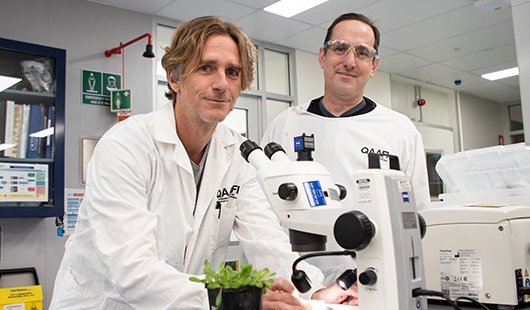 two men in white coats stand by a microscope with a light