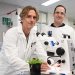 Dr Chris Brosnan and Stephen Fletcher in a UQ laboratory. Image: Megan Pope. two men in white coats stand by a microscope with a light