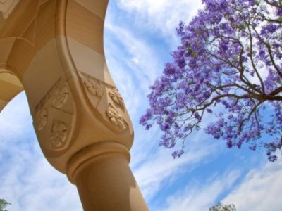 Sandstone pillar with Jacaranda tree in full bloom in the distance.
