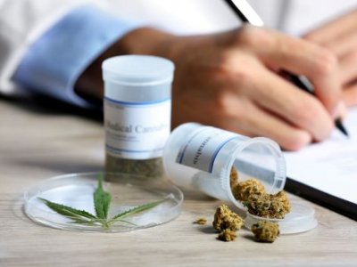 Doctors handwriting a prescription with dried medicinal cannabis.