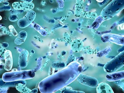 Close-up graphic of gut bacteria