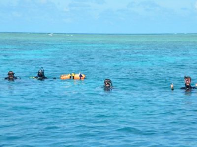 Divers with their heads out of very blue ocean water