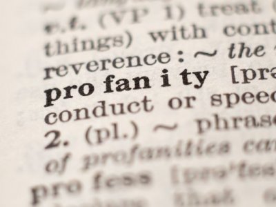 A page in the dictionary displaying the word "profanity"