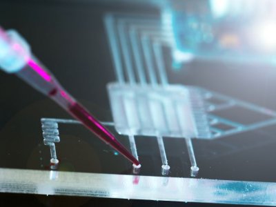 Microfluidics tools such as this are used to manipulate liquids and gas at incredibly small scales
