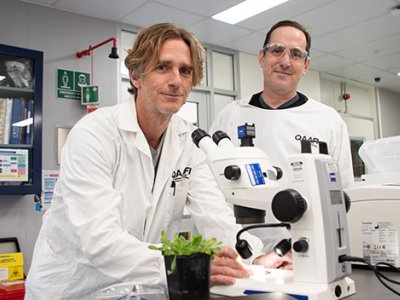 two men in white coats stand by a microscope with a light
