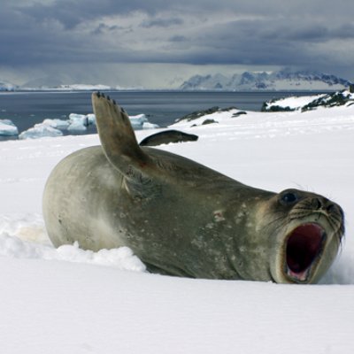 Dr Paul Dennis travelled to Antarctica for his research. Photo: Paul Dennis.