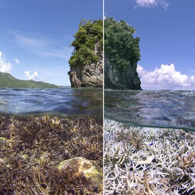 A before and after image of the bleaching in American Samoa: XL Catlin Seaview Survey.