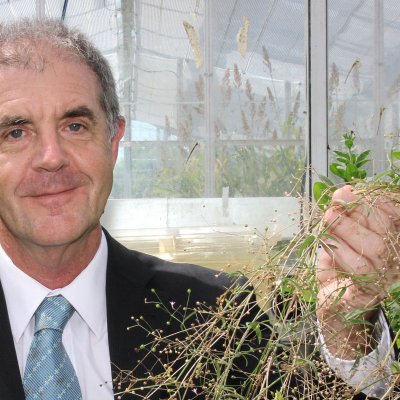 Professor David Craik said plants could be like biofactories for producing next-generation pharmaceuticals.
