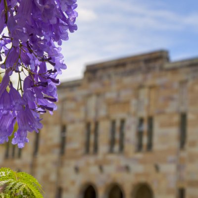 UQ's MBA has again been ranked the best in the Asia Pacific by The Economist.