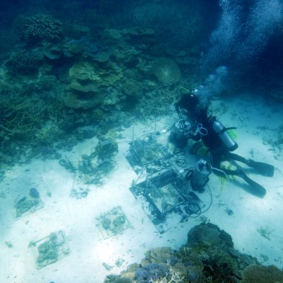 Marine biology masters student Lilianna Pap sets up equipment from the mini-reefs.