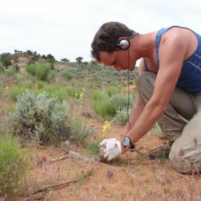 Lead author Dr R Salguero-Gómez collects demographic data in the field. Photo credit: R. Salguero-Gómez