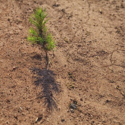 The majority of Queensland is in drought