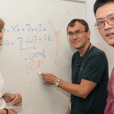 Professor Naomi Wray, Professor Peter Visscher and Associate Professor Jian Yang ... analysing very large data sets.