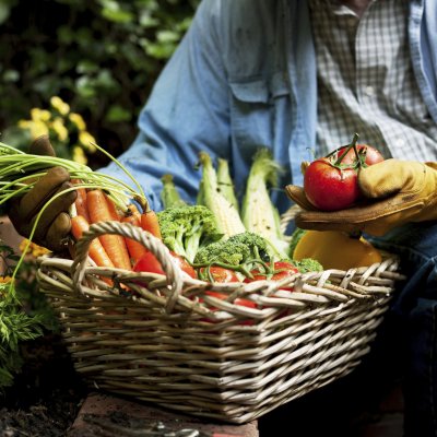 Silver nanoparticles could impact food grown in contaminated soil.