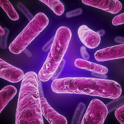 World health authorities estimate antimicrobial resistant superbugs will kill 10 million people a year by 2050.