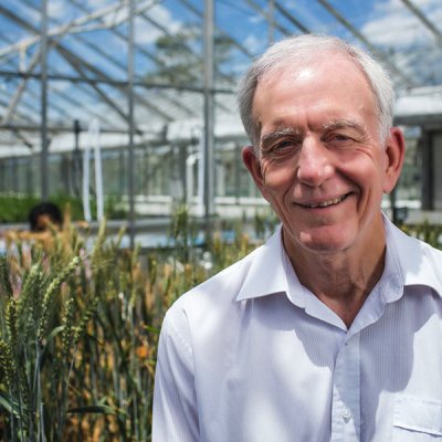 Professor Robert Henry ... discovery turns half a century of plant biology on its head